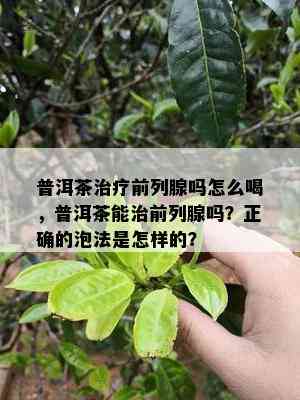 普洱茶治疗前列腺吗怎么喝，普洱茶能治前列腺吗？正确的泡法是怎样的？