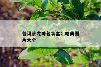 普洱茶龙珠包装盒：精美图片大全