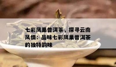 七彩凤巢普洱茶，探寻云南风情：品味七彩凤巢普洱茶的独特韵味