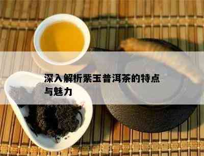 深入解析紫玉普洱茶的特点与魅力