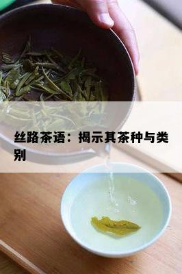 丝路茶语：揭示其茶种与类别