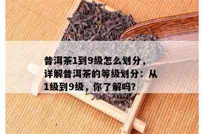 普洱茶1到9级怎么划分，详解普洱茶的等级划分：从1级到9级，你熟悉吗？