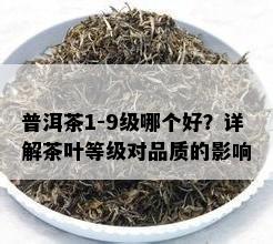 普洱茶1-9级哪个好？详解茶叶等级对品质的作用