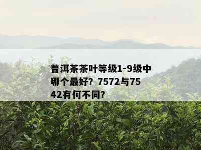 普洱茶茶叶等级1-9级中哪个更好？7572与7542有何不同？