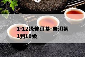 1-12级普洱茶-普洱茶1到10级