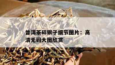 普洱茶碎银子细节图片：高清  大图欣赏