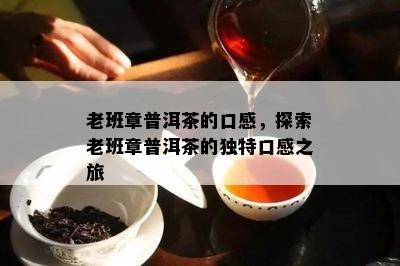 老班章普洱茶的口感，探索老班章普洱茶的特别口感之旅