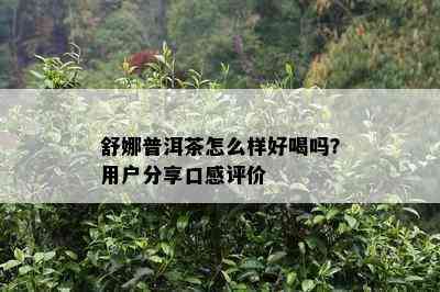 舒娜普洱茶怎么样好喝吗？用户分享口感评价