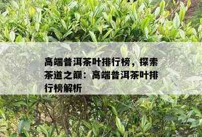 高端普洱茶叶排行榜，探索茶道之巅：高端普洱茶叶排行榜解析