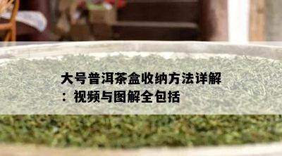 大号普洱茶盒收纳方法详解：视频与图解全包括