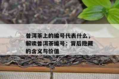 普洱茶上的编号代表什么，解读普洱茶编号：背后隐藏的含义与价值