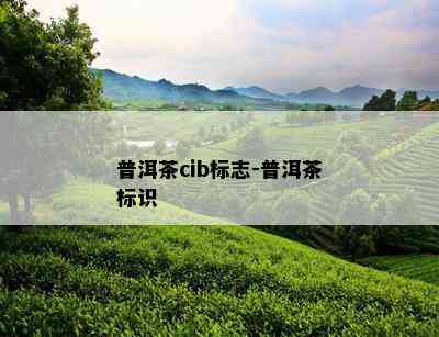 普洱茶cib标志-普洱茶标识