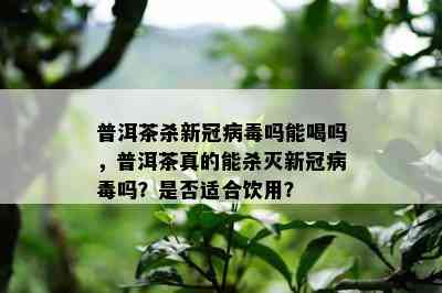 普洱茶杀新冠病吗能喝吗，普洱茶真的能杀灭新冠病吗？是不是适合饮用？