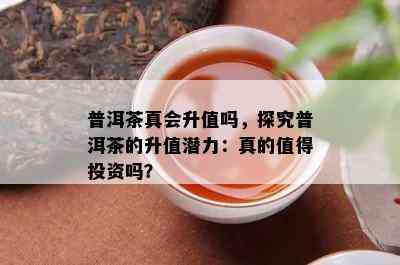 普洱茶真会升值吗，探究普洱茶的升值潜力：真的值得投资吗？