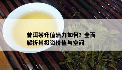 普洱茶升值潜力怎样？全面解析其投资价值与空间