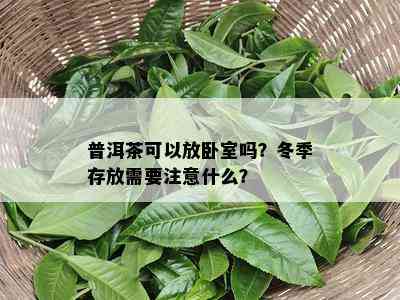 普洱茶可以放卧室吗？冬季存放需要留意什么？