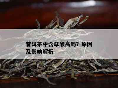 普洱茶中含草酸高吗？起因及作用解析