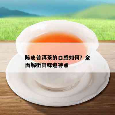 陈皮普洱茶的口感如何？全面解析其味道特点