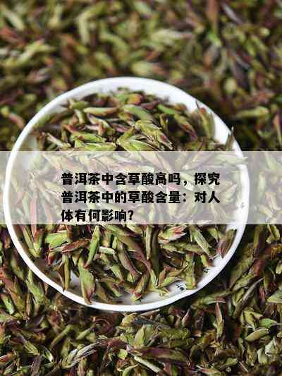 普洱茶中含草酸高吗，探究普洱茶中的草酸含量：对人体有何作用？