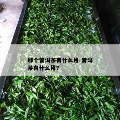 那个普洱茶有什么用-普洱茶有什么用?