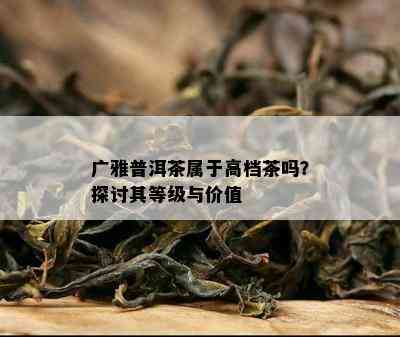 广雅普洱茶属于高档茶吗？探讨其等级与价值