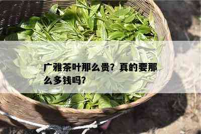 广雅茶叶那么贵？真的要那么多钱吗？