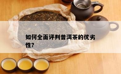 怎样全面评判普洱茶的优劣性?