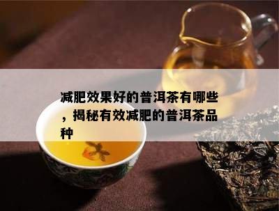 减肥效果好的普洱茶有哪些，揭秘有效减肥的普洱茶品种