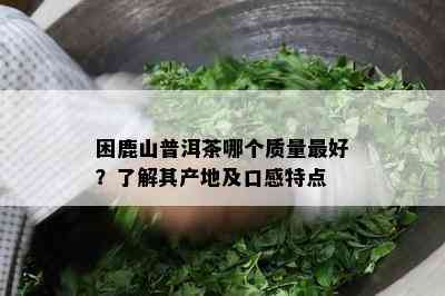 困鹿山普洱茶哪个质量更好？了解其产地及口感特点