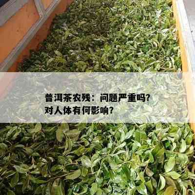 普洱茶农残：问题严重吗？对人体有何影响？