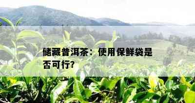 储藏普洱茶：使用保鲜袋是否可行？