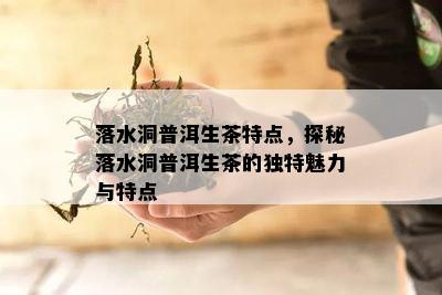 落水洞普洱生茶特点，探秘落水洞普洱生茶的特别魅力与特点