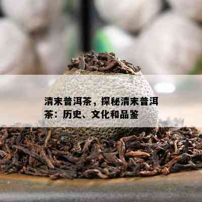 清末普洱茶，探秘清末普洱茶：历史、文化和品鉴