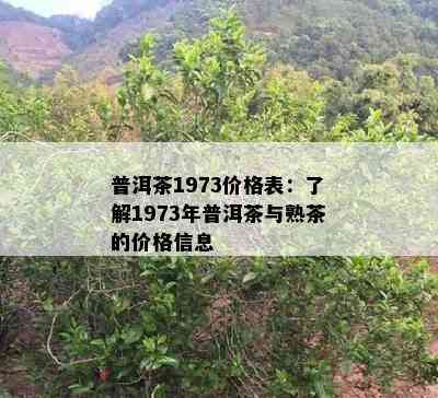 普洱茶1973价格表：熟悉1973年普洱茶与熟茶的价格信息