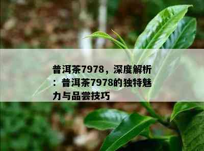 普洱茶7978，深度解析：普洱茶7978的特别魅力与品尝技巧