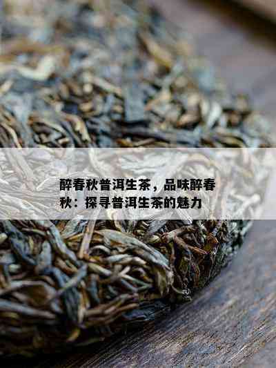 醉春秋普洱生茶，品味醉春秋：探寻普洱生茶的魅力