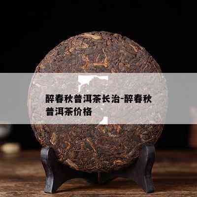 醉春秋普洱茶长治-醉春秋普洱茶价格