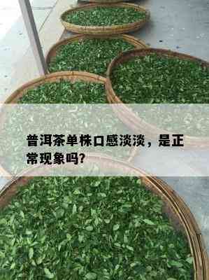 普洱茶单株口感淡淡，是正常现象吗？