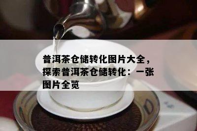 普洱茶仓储转化图片大全，探索普洱茶仓储转化：一张图片全览