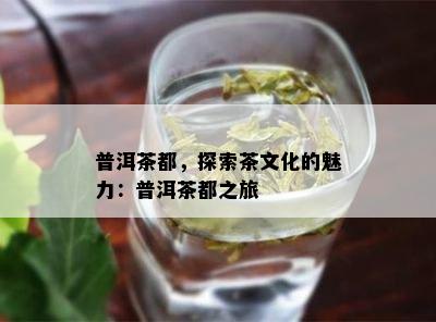 普洱茶都，探索茶文化的魅力：普洱茶都之旅