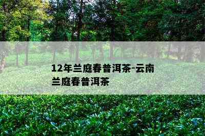 12年兰庭春普洱茶-云南兰庭春普洱茶