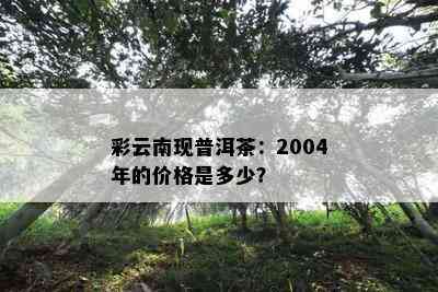 彩云南现普洱茶：2004年的价格是多少？