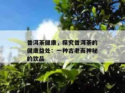 普洱茶健康，探究普洱茶的健康益处：一种古老而神秘的饮品