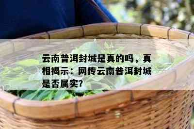 云南普洱封城是真的吗，真相揭示：网传云南普洱封城是不是属实？