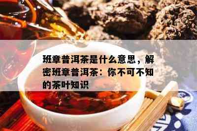 班章普洱茶是什么意思，解密班章普洱茶：你不可不知的茶叶知识