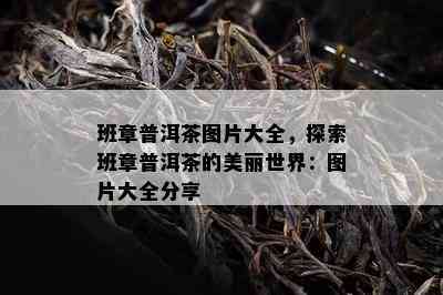 班章普洱茶图片大全，探索班章普洱茶的美丽世界：图片大全分享