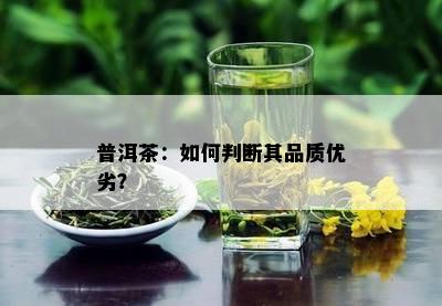 普洱茶：怎样判断其品质优劣？