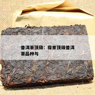 普洱茶顶级：探索顶级普洱茶品种与