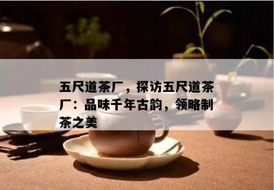 五尺道茶厂，探访五尺道茶厂：品味千年古韵，领略制茶之美