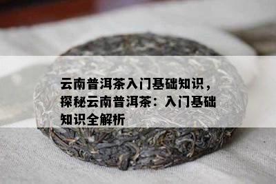 云南普洱茶入门基础知识，探秘云南普洱茶：入门基础知识全解析